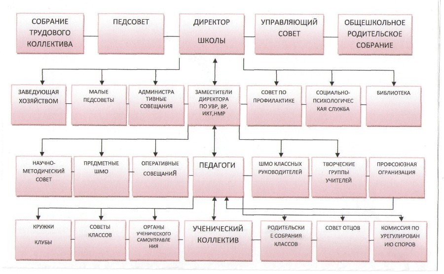 Структура школы